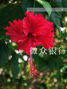 微众银行贷款逾期了会判刑吗