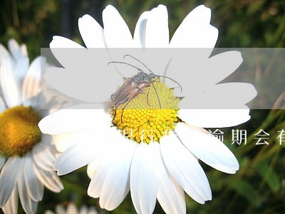 微众银行贷款逾期会有影响吗 微众银行贷款逾期会有影响吗