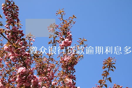 微众银行贷款逾期利息多少钱 微众银行贷款逾期利息多少钱