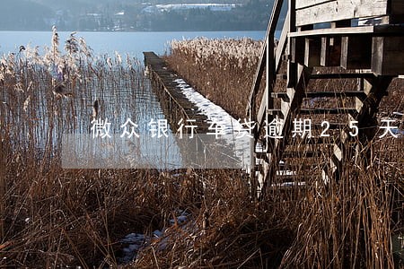 微众银行车贷逾期25天 微众银行车贷逾期25天