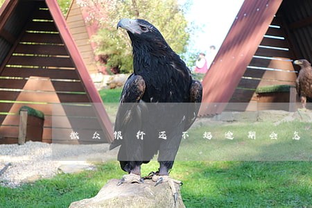 微众银行还不起逾期会怎么样 微众银行还不起逾期会怎么样