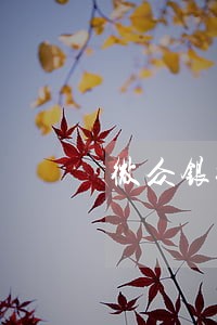 微众银行逾期48小时 微众银行逾期48小时