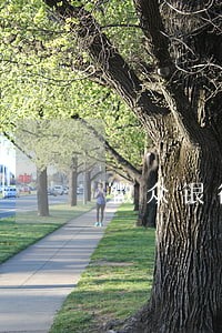 微众银行逾期一个月怎么办 微众银行逾期一个月怎么办