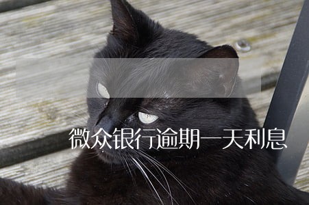 微众银行逾期一天利息 微众银行逾期一天利息