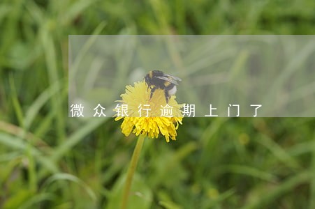 微众银行逾期上门了 微众银行逾期上门了