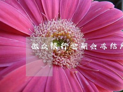 微众银行逾期会冻结所有财产吗 微众银行逾期会冻结所有财产吗