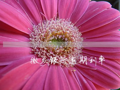 微众银行逾期利率
