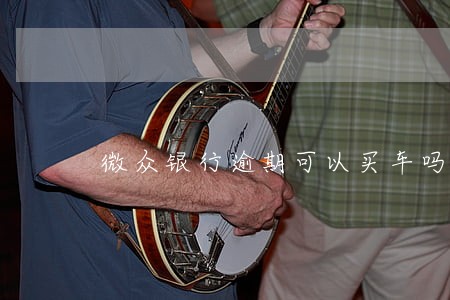 微众银行逾期可以买车吗 微众银行逾期可以买车吗