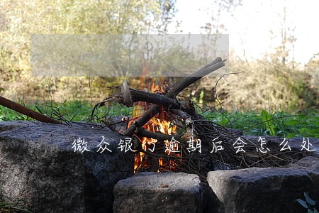 微众银行逾期后会怎么处理 微众银行逾期后会怎么处理