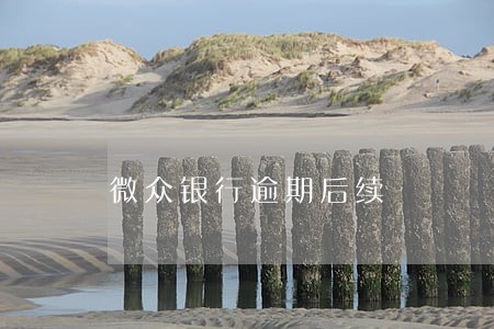 微众银行逾期后续 微众银行逾期后续