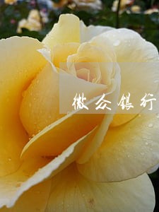 微众银行逾期后还不上