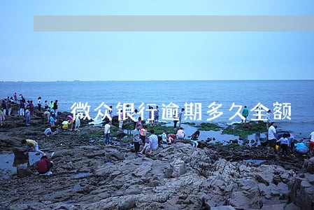 微众银行逾期多久全额 微众银行逾期多久全额