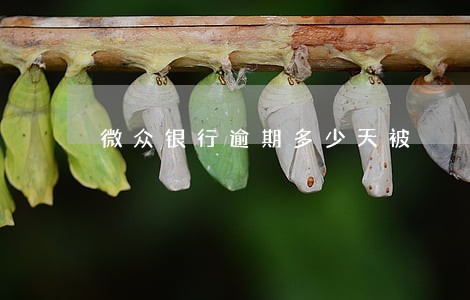 微众银行逾期多少天被 微众银行逾期多少天被