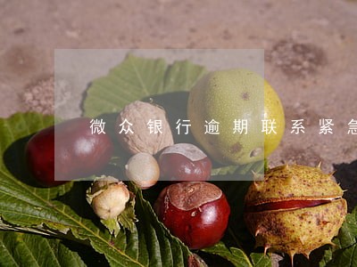 微众银行逾期联系紧急联系人 微众银行逾期联系紧急联系人
