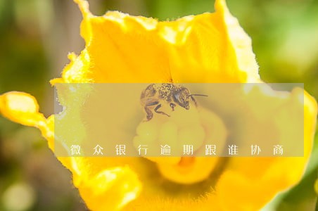 微众银行逾期跟谁协商 微众银行逾期跟谁协商