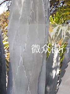 微众银行逾期还款会不会影响信用 微众银行逾期还款会不会影响信用