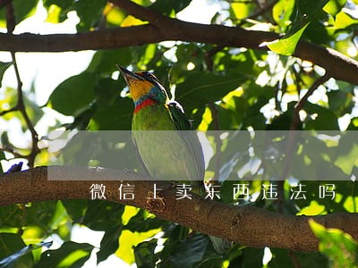 微信上卖东西违法吗 微信上卖东西违法吗