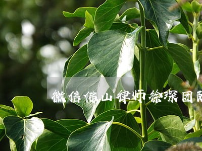 微信佛山律师徐琛团队小程序