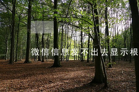 微信信息发不出去显示根据相关法律 微信信息发不出去显示根据相关法律