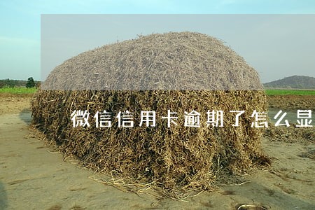 微信信用卡逾期了怎么显示 微信信用卡逾期了怎么显示