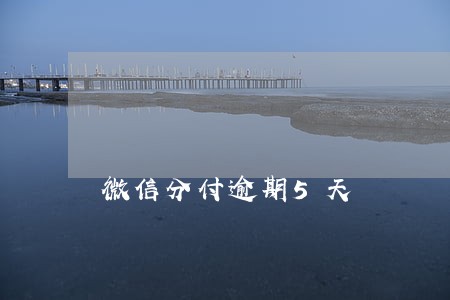 微信分付逾期5天 微信分付逾期5天