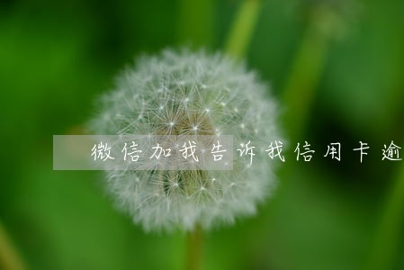 微信加我告诉我信用卡逾期 微信加我告诉我信用卡逾期