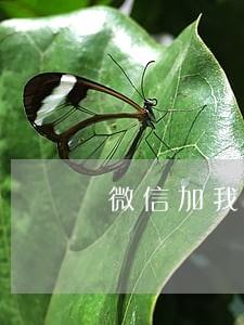 微信加我说网贷逾期了 微信加我说网贷逾期了
