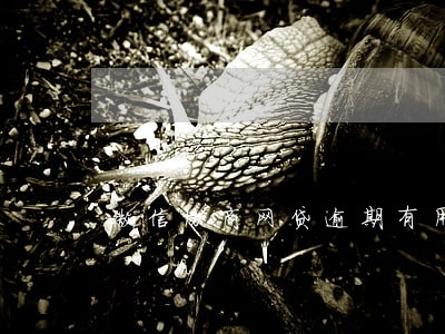 微信协商网贷逾期有用吗 微信协商网贷逾期有用吗