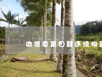 微信卖莆田鞋违法拘留 微信卖莆田鞋违法拘留