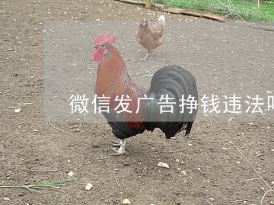 微信发广告挣钱违法吗靠谱吗 微信发广告挣钱违法吗靠谱吗