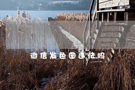 微信发色图违法吗 微信发色图违法吗