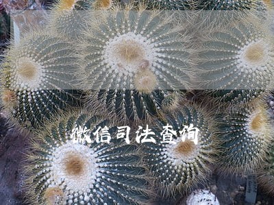 微信司法查询 微信司法查询
