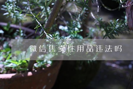 微信售卖性用品违法吗 微信售卖性用品违法吗