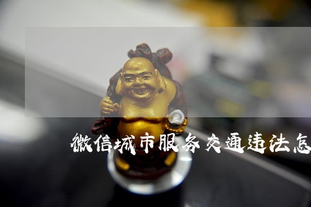 微信城市服务交通违法怎么没有 微信城市服务交通违法怎么没有