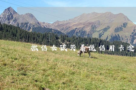 微信女孩哭着说信用卡逾期坐牢