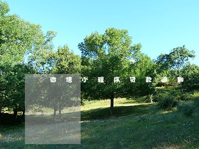 微信小程序贷款逾期 微信小程序贷款逾期