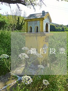 微信投票平台违法吗 微信投票平台违法吗