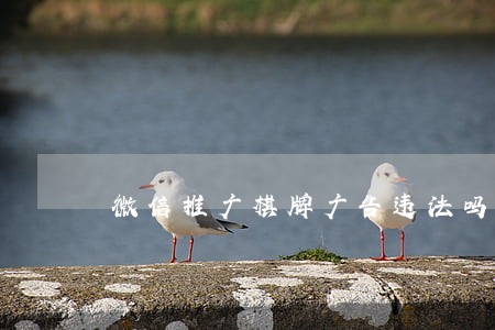 微信推广棋牌广告违法吗