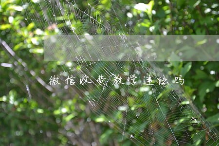 微信收费教学违法吗