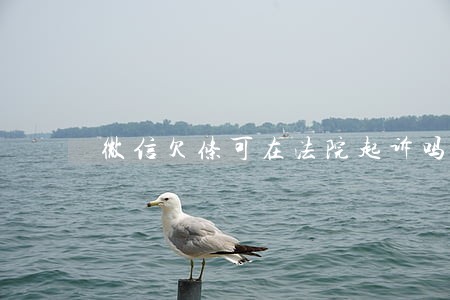 微信欠条可在法院起诉吗 微信欠条可在法院起诉吗