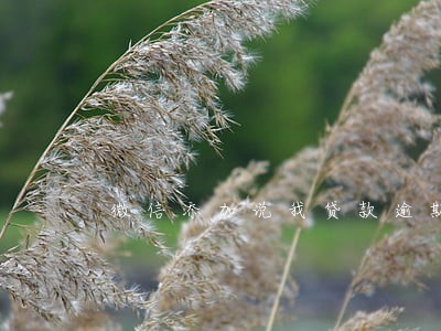 微信添加说我贷款逾期 微信添加说我贷款逾期