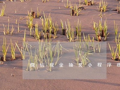 微信现金抽奖小程序违法嘛