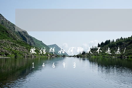 微信群如何聊天不违法/2023013014693 微信群如何聊天不违法/2023013014693
