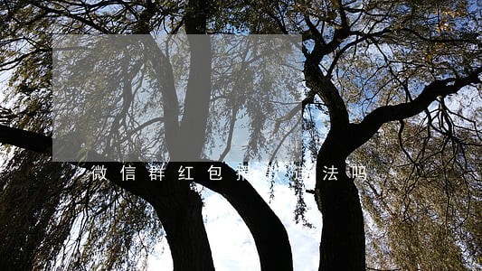 微信群红包捐款违法吗 微信群红包捐款违法吗