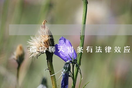 微信聊天借条有法律效应吗 微信聊天借条有法律效应吗