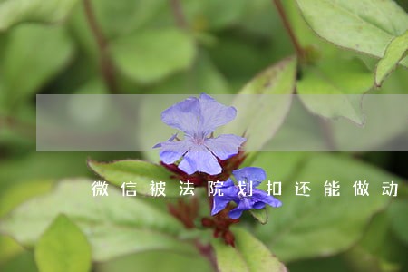 微信被法院划扣还能做动车吗 微信被法院划扣还能做动车吗