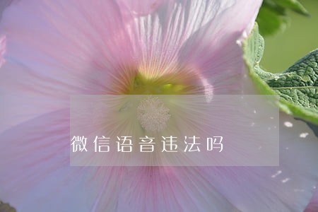 微信语音违法吗 微信语音违法吗