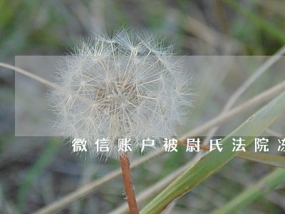 微信账户被尉氏法院冻结 微信账户被尉氏法院冻结