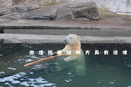 微信转账给对方具有法律效力吗 微信转账给对方具有法律效力吗