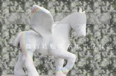微信转账能不能当法律证据 微信转账能不能当法律证据